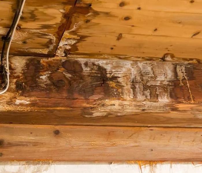 Wood rot on a home's support beam.