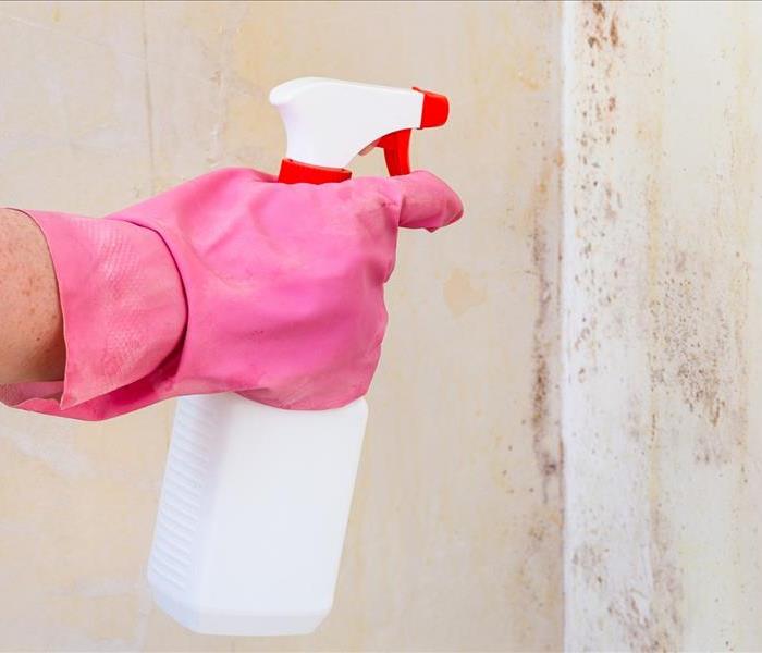 Picture of a man spraying mold with a spray bottle.